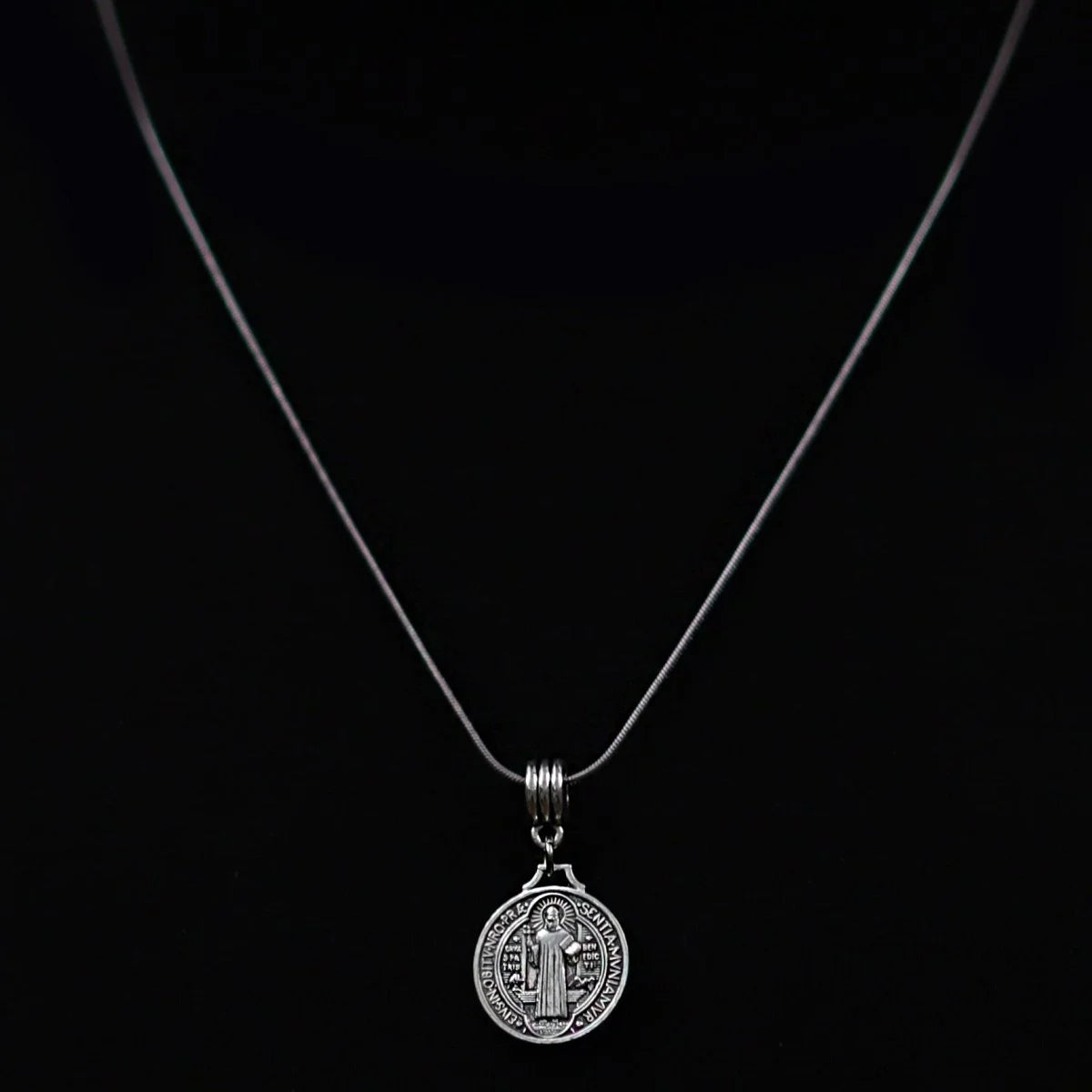 Silver medallion pendant on a thin chain necklace.