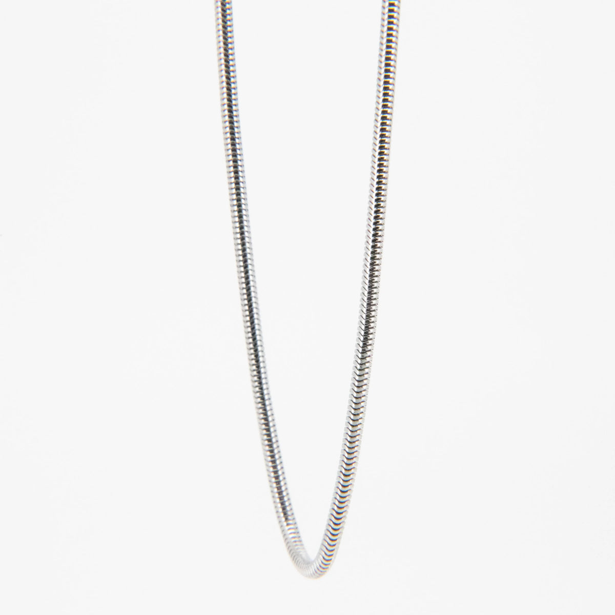 Silver snake chain necklace.