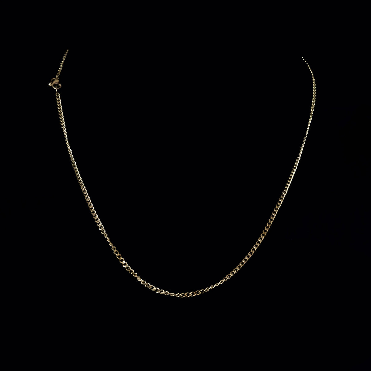 Simple gold-toned chain necklace with a curb link pattern.