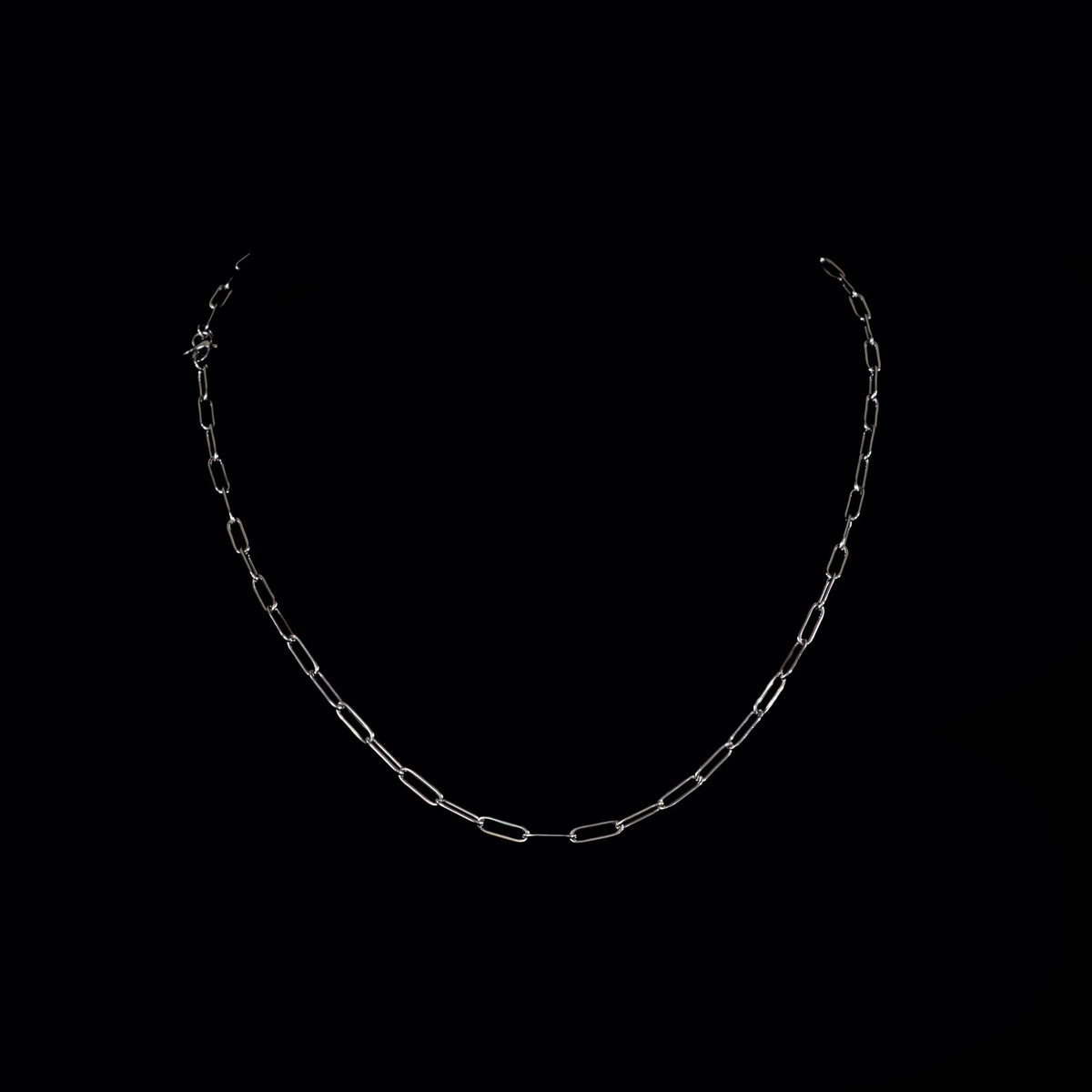 Silver chain necklace with elongated links.