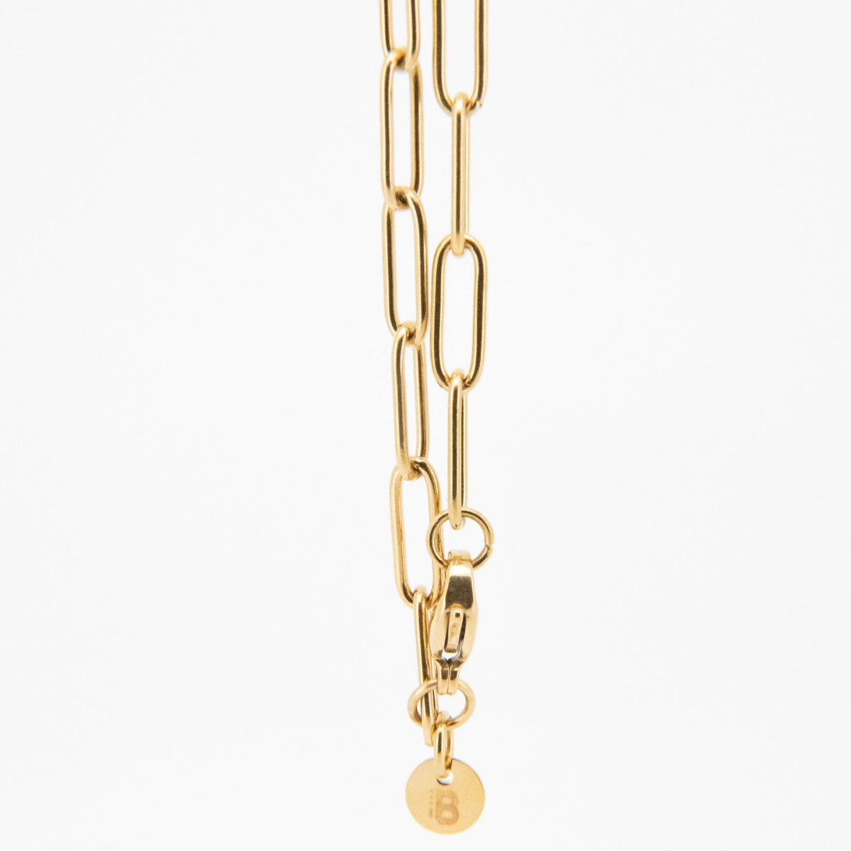 Gold-toned chain link necklace with lobster clasp and circular charm.