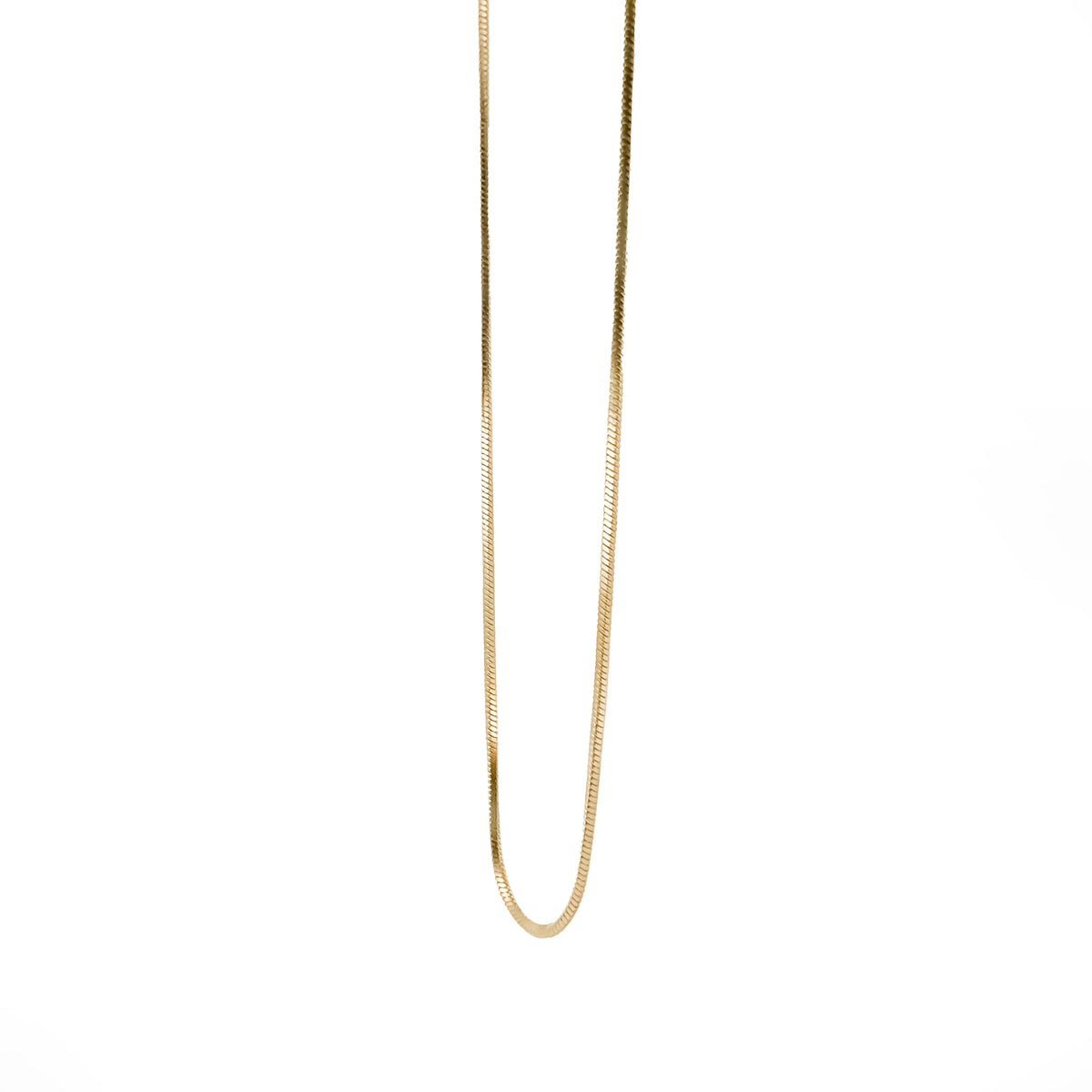 Gold-colored thin chain necklace.