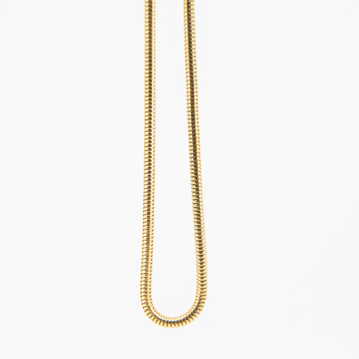 Gold snake chain necklace.