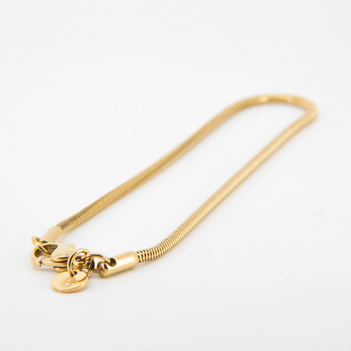 Gold-toned snake chain necklace with a clasp.