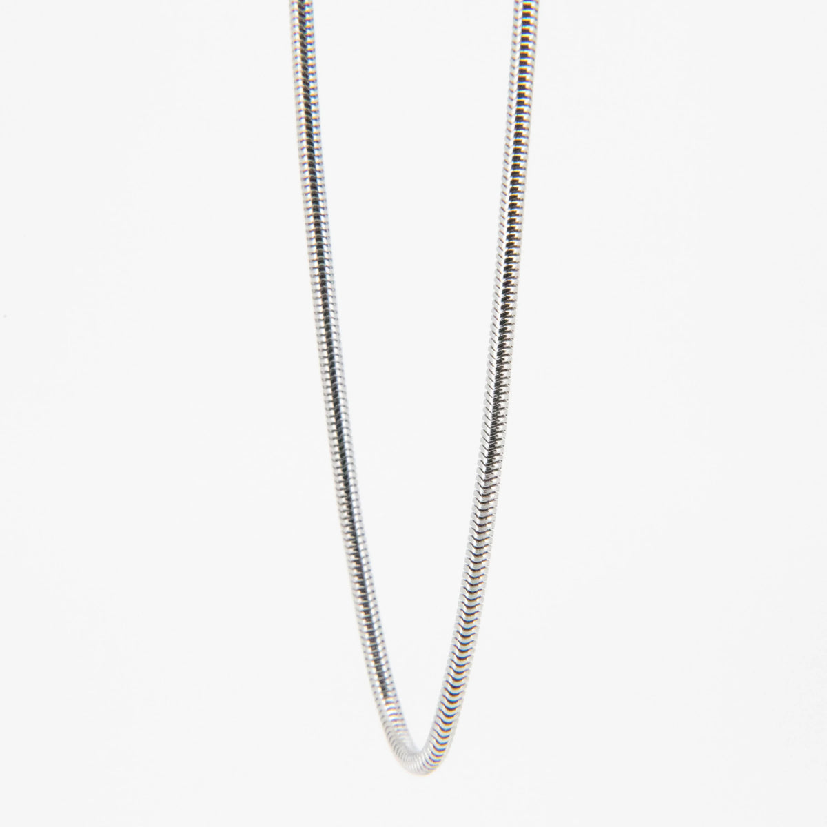 Silver snake chain necklace.