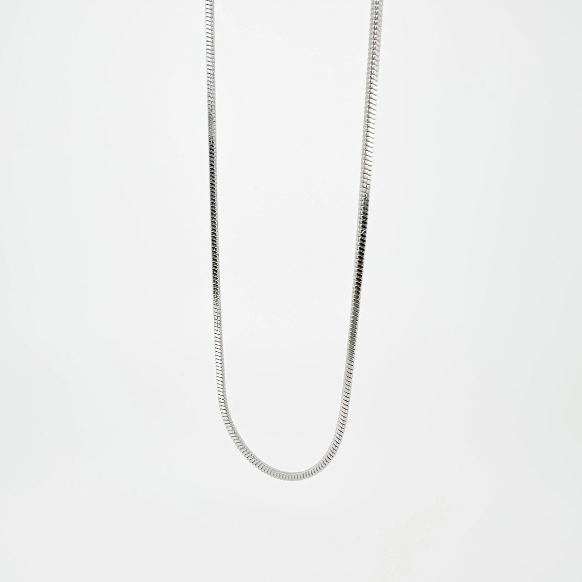 Silver snake chain necklace.