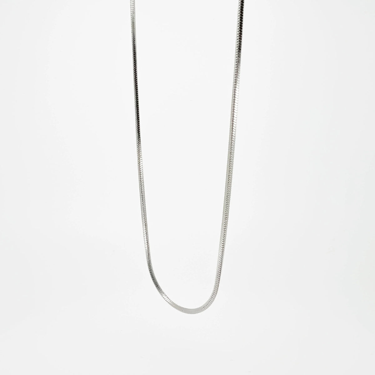 Silver snake chain necklace.