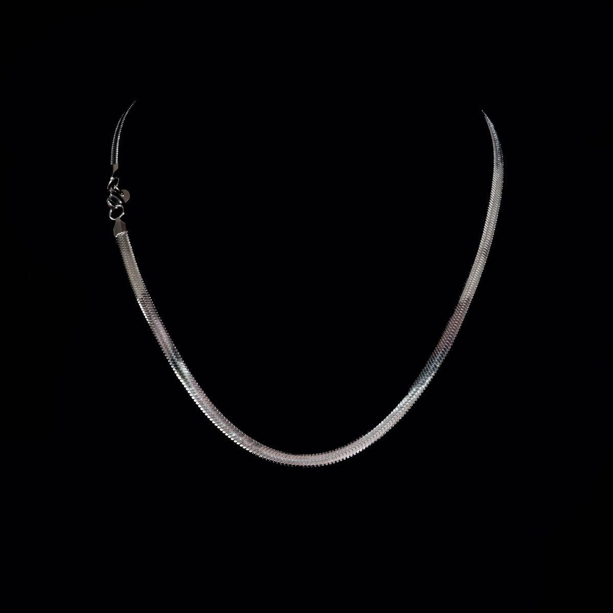 Silver snake chain necklace with clasps at the ends.