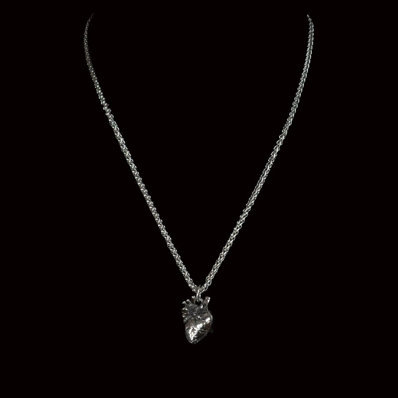 Silver necklace with an anatomical heart pendant.